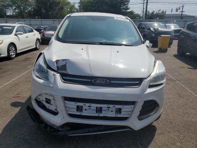 VIN 1FMCU0GX8GUA82661 2016 Ford Escape, SE no.5