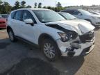 MAZDA CX-5 SPORT photo