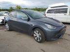 TESLA MODEL Y photo