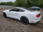 FORD MUSTANG photo