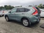 HONDA CR-V EX photo