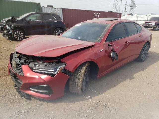 2023 ACURA TLX TECH A 2023