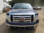 FORD F150 photo