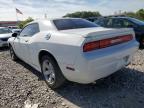 Lot #2806816148 2011 DODGE CHALLENGER