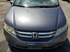 HONDA ODYSSEY EX photo