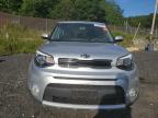 KIA SOUL + photo