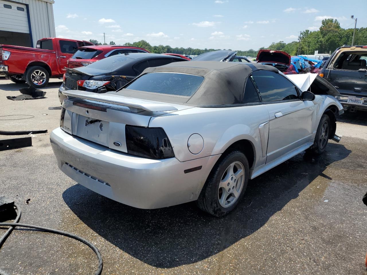 Lot #2987018751 2003 FORD MUSTANG