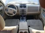 FORD ESCAPE XLT photo