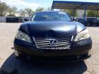 LEXUS ES 350 photo