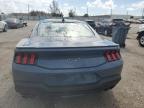 FORD MUSTANG GT photo