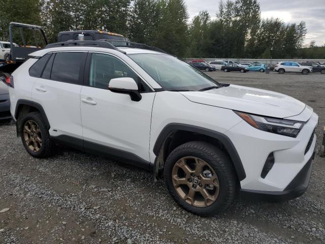2023 TOYOTA RAV4 WOODL - 2T3UWRFV4PW156765
