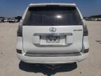 LEXUS GX 460 photo