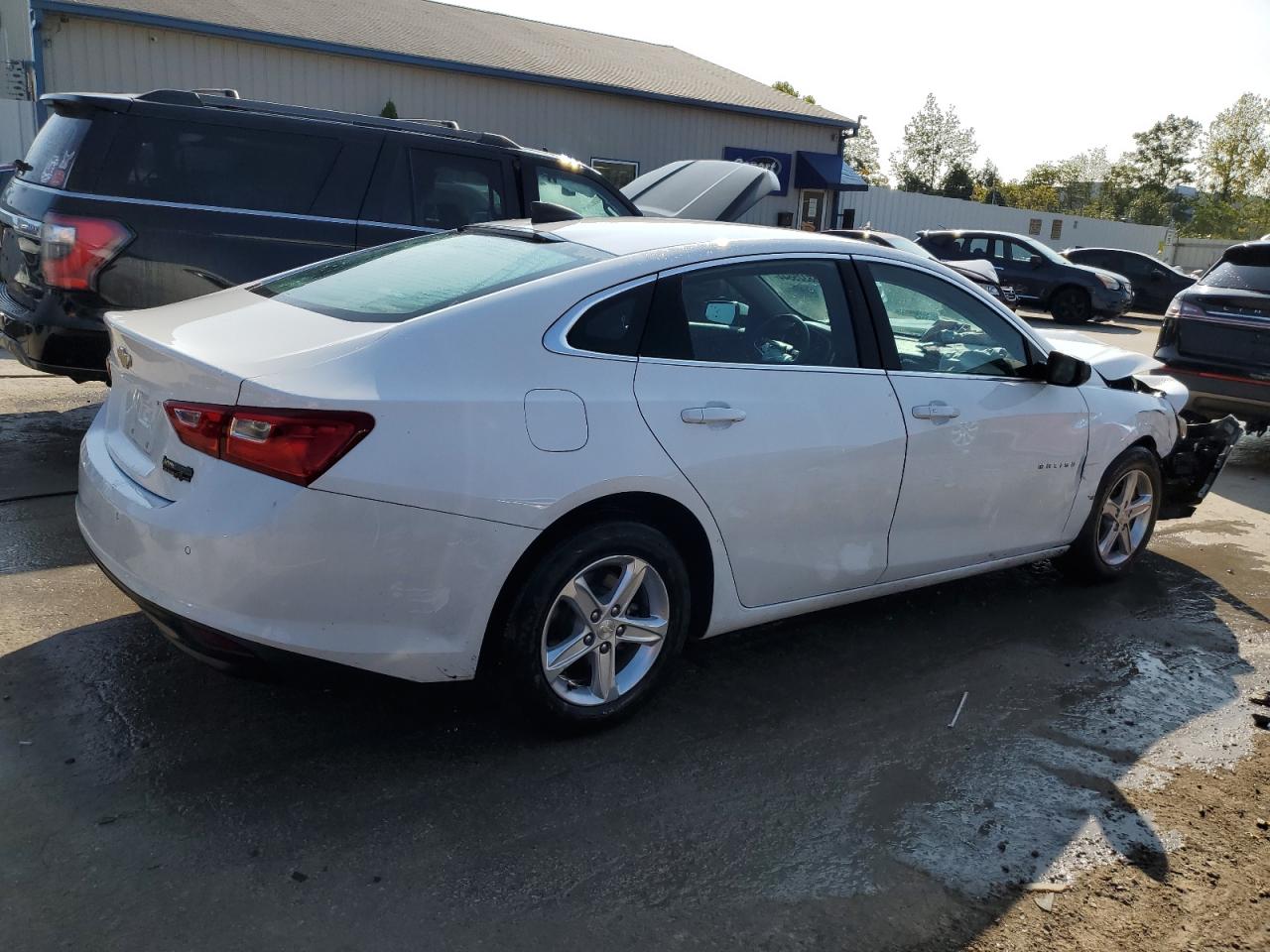 Lot #2974811103 2019 CHEVROLET MALIBU LS