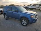 FORD ESCAPE XLT снимка