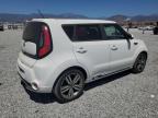 KIA SOUL + photo