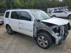 HONDA PILOT EXLN photo