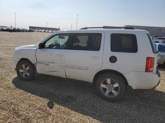 HONDA PILOT EXL 2009 white  gas 5FNYF48569B028358 photo #3