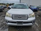 LEXUS GX 460 photo