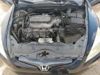 HONDA ACCORD EX photo