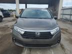 HONDA ODYSSEY EL снимка