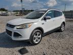 FORD ESCAPE SE photo