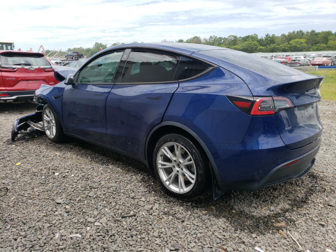 Lot #2885464854 2021 TESLA MODEL Y