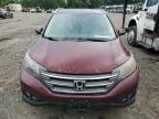 Lot #3025044300 2013 HONDA CR-V EXL