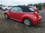 VOLKSWAGEN NEW BEETLE photo