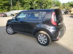 KIA SOUL photo