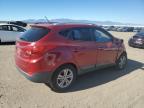 HYUNDAI TUCSON GLS photo