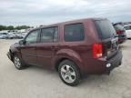 HONDA PILOT EXL photo