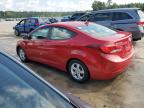 HYUNDAI ELANTRA SE photo