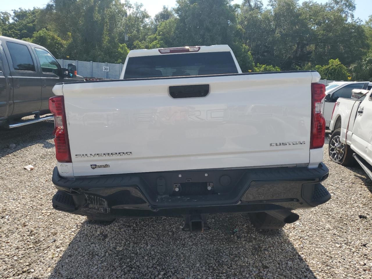 Lot #2994203390 2022 CHEVROLET SILVERADO