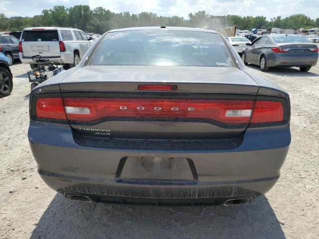 VIN 2C3CDXJG1DH571959 2013 Dodge Charger, Sxt no.6