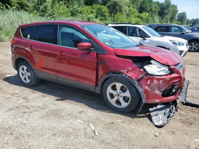 VIN 1FMCU0GXXEUD08194 2014 Ford Escape, SE no.4