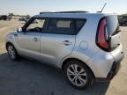 KIA SOUL + photo