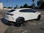 LAMBORGHINI URUS photo