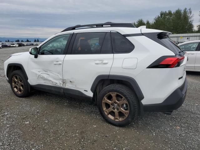 2023 TOYOTA RAV4 WOODL - 2T3UWRFV4PW156765