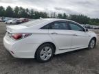 HYUNDAI SONATA HYB photo