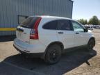 HONDA CR-V SE photo