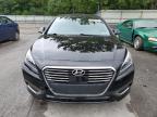 HYUNDAI SONATA PLU photo