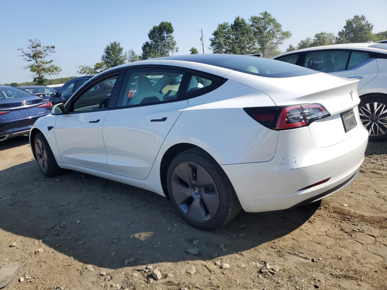 Lot #2955331662 2023 TESLA MODEL 3