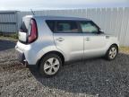 KIA SOUL photo