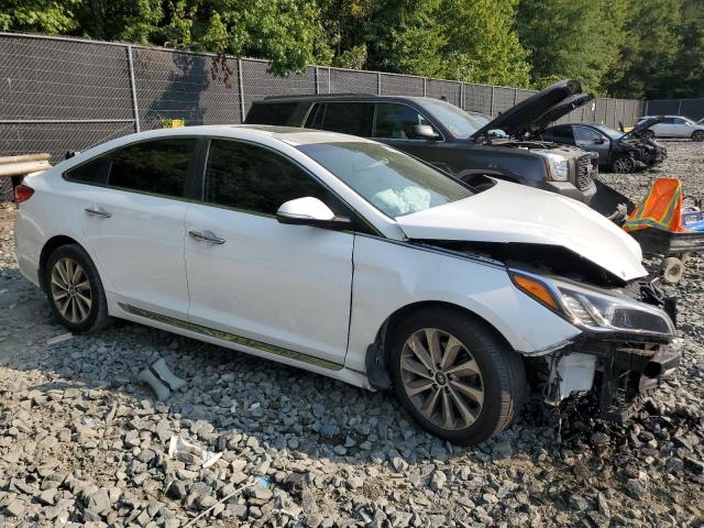 2017 HYUNDAI SONATA SPO - 5NPE34AF5HH581422