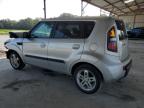 KIA SOUL + photo