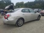 LEXUS ES 330 photo