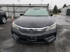 HONDA ACCORD LX photo