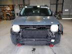 Lot #3024223868 2016 JEEP RENEGADE T