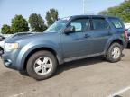 FORD ESCAPE XLS photo