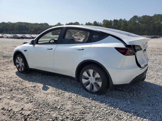 2023 TESLA MODEL Y - 7SAYGDEE0PA149689